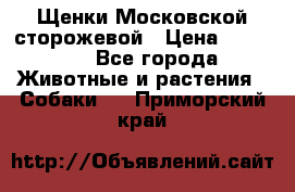 Щенки Московской сторожевой › Цена ­ 35 000 - Все города Животные и растения » Собаки   . Приморский край